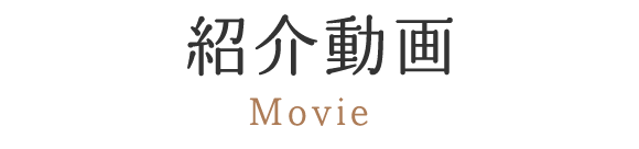紹介動画